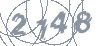 Захисний код