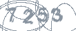 Захисний код