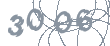 Захисний код